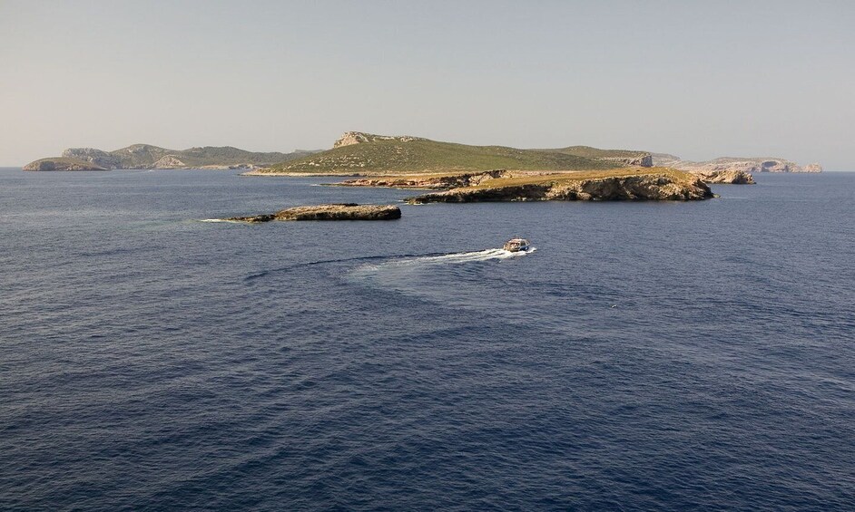 Picture 2 for Activity Colonia Sant Jordi: Classic & Express Boat Tour to Cabrera