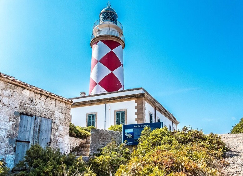 Picture 3 for Activity Colonia Sant Jordi: Classic & Express Boat Tour to Cabrera