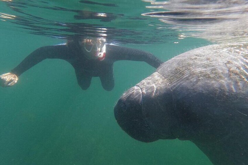 3-Hour Manatee Swim Tour With Water Guide and Photographer