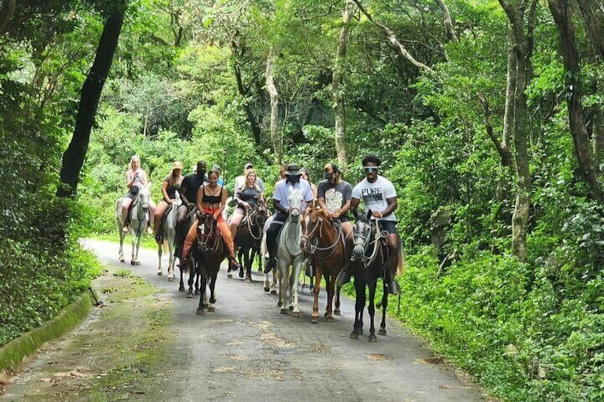 Active Volcano Tour in Costa Rica