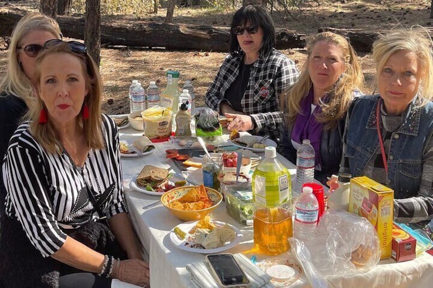 We are well known for our fabulous picnic lunches .