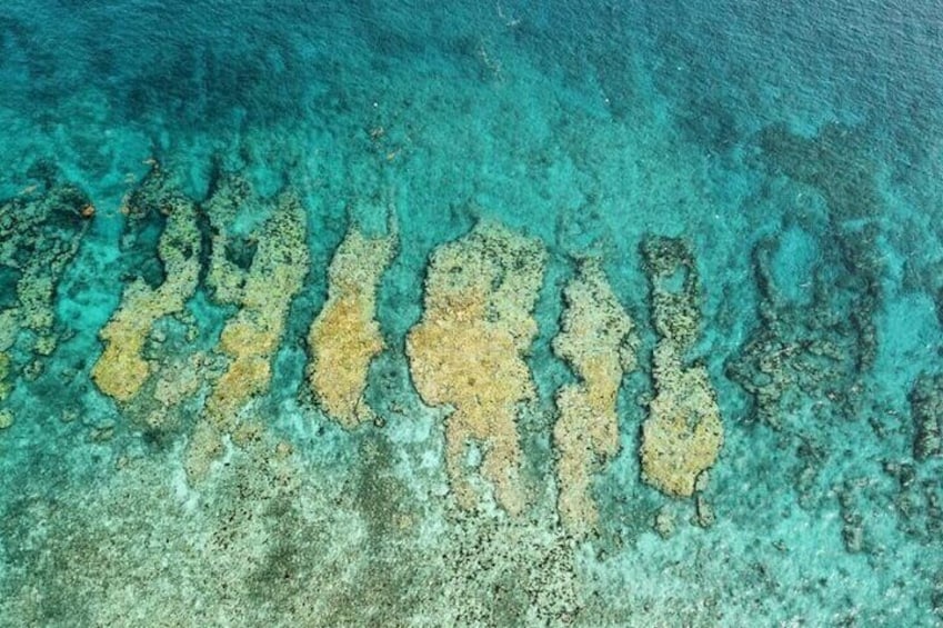 Reef in Key West