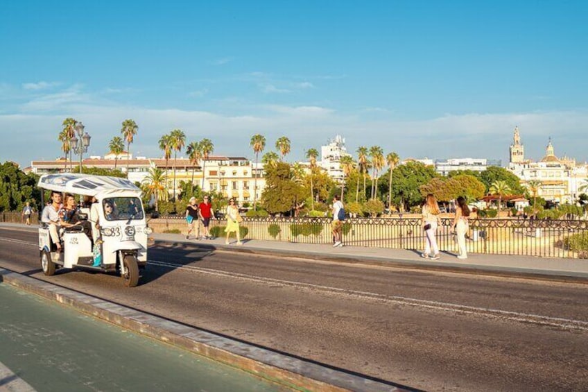 Expert Tour of Seville in Private Eco Tuk Tuk