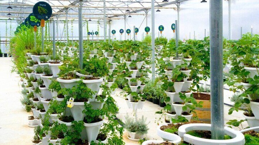 2-Hour Farm Experience in Gateway Yarra Valley
