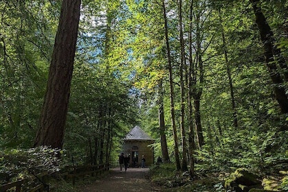 Scone Palace, Nature, Pitlochry, Whisky Experience from Edinburgh