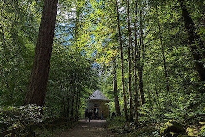 Scone Palace, Nature Walk and Whisky Experience from Edinburgh