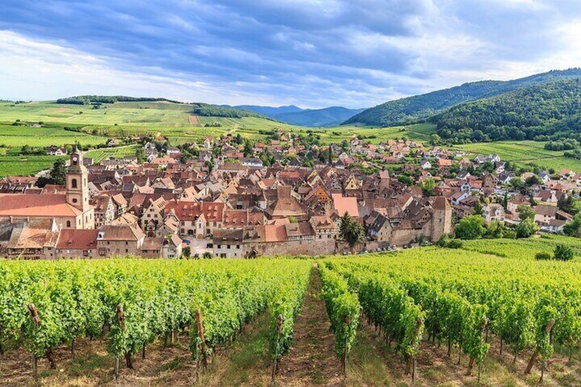 Alsace Wine Odyssey: Full-Day Private Tour from Strasbourg