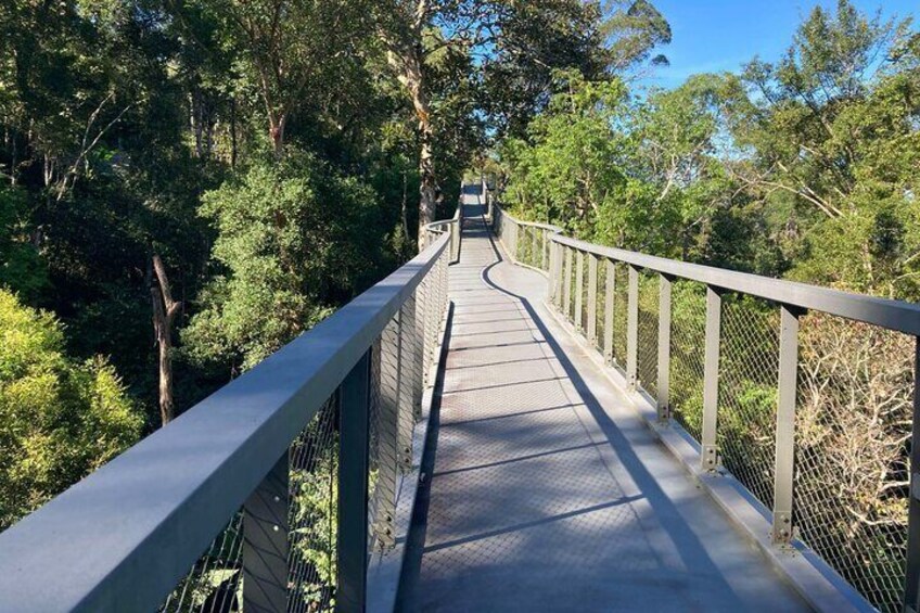 Langur Way Canopy Walk