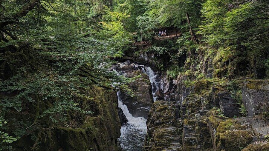 Black Linn falls