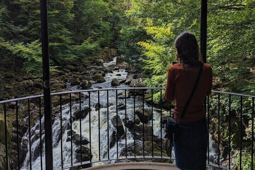 Scone Palace, Nature Walk and Whisky Experience from Glasgow