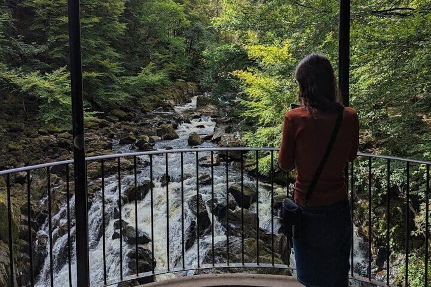 Scone Palace, Nature Walk and Whisky Experience from Glasgow