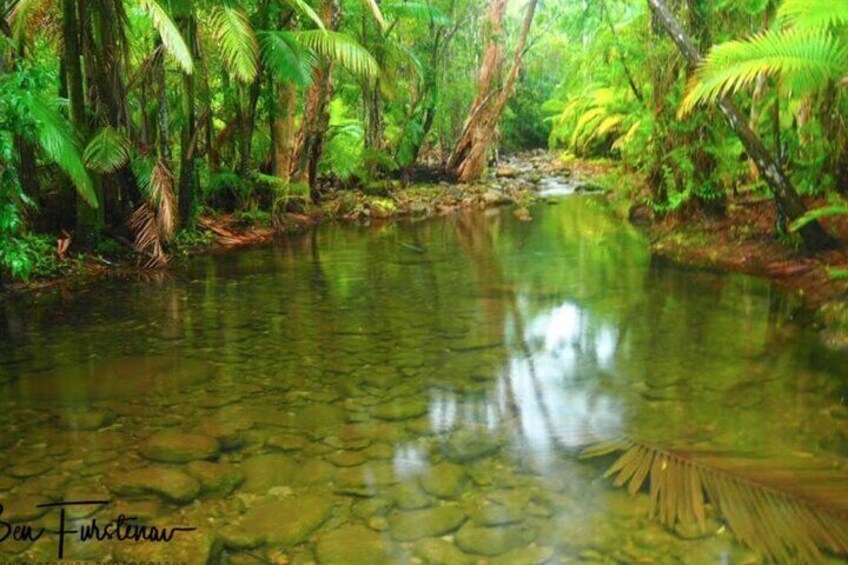 Finch Hatton