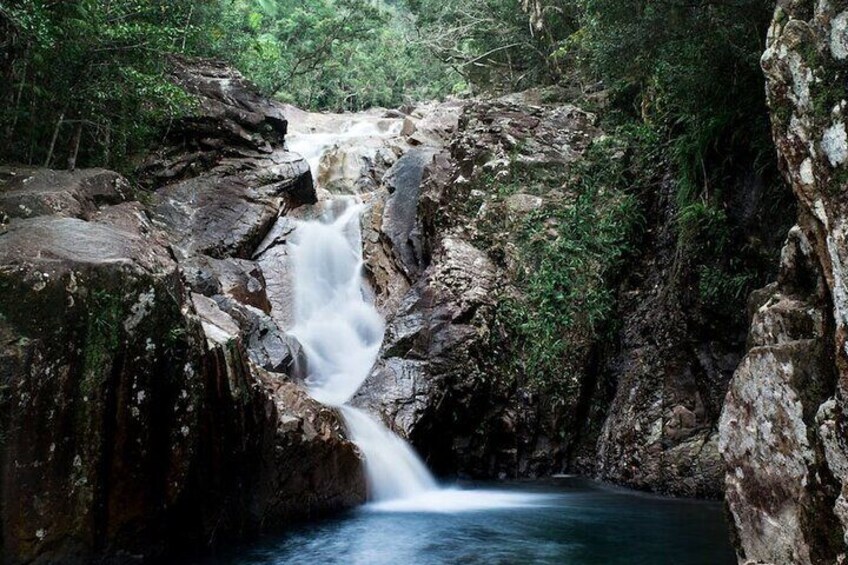 Araluen Cascades finch Hatton Gorge