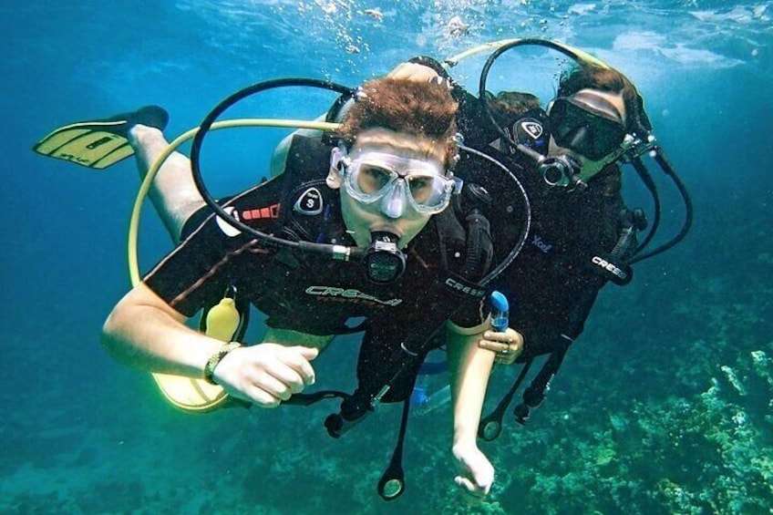 Half Day La Roqueta Island Tour and Scuba Diving for Beginners