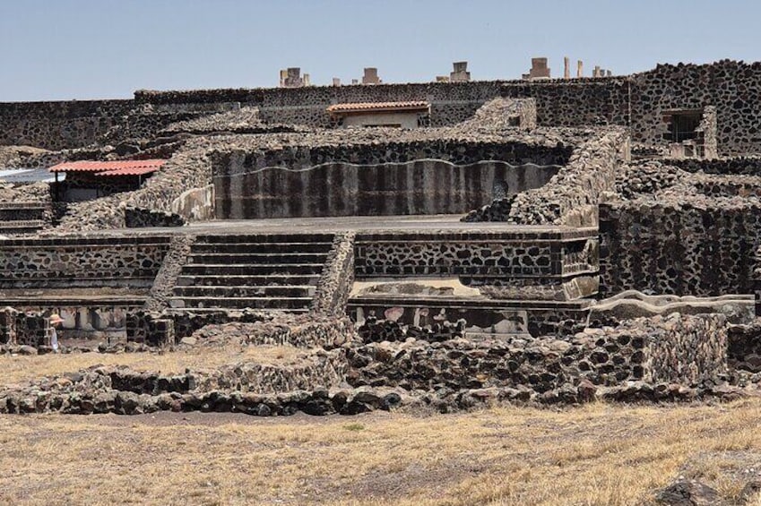 Private Tour of Pyramids of Teotihuacán and Basilica of Guadalupe