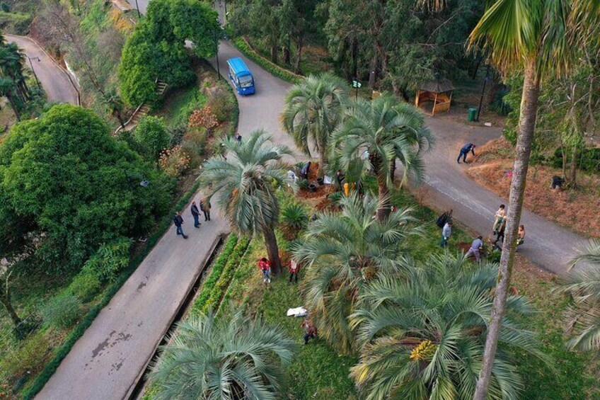 Private Sightseeing Tour from Batumi to Mtirala and Botanical garden