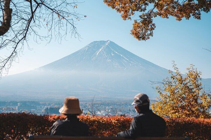 Mt Fuji, Hakone Private Tour by Car with Pickup