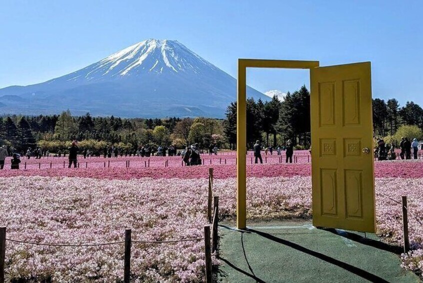 Mt Fuji, Hakone Private Tour by Car with Pickup