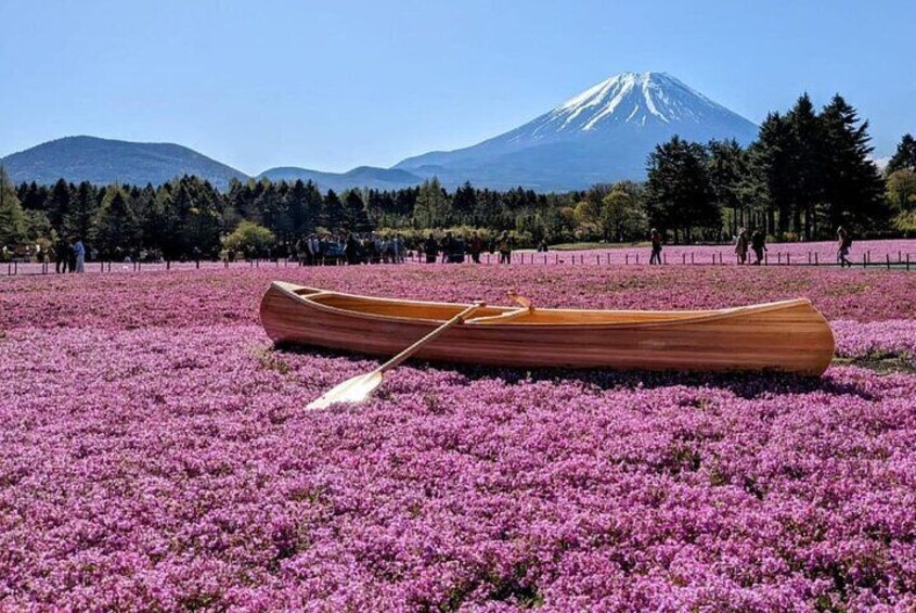 Mt Fuji, Hakone Private Tour by Car with Pickup