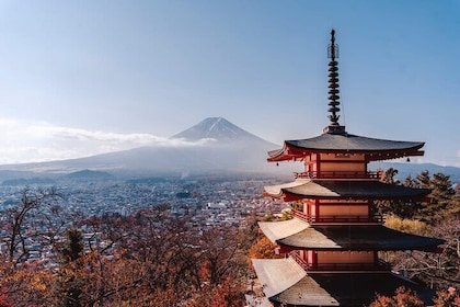 Mt Fuji, Hakone Private Tour by Car with Pickup