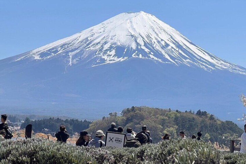 Mt Fuji, Hakone Private Tour by Car with Pickup