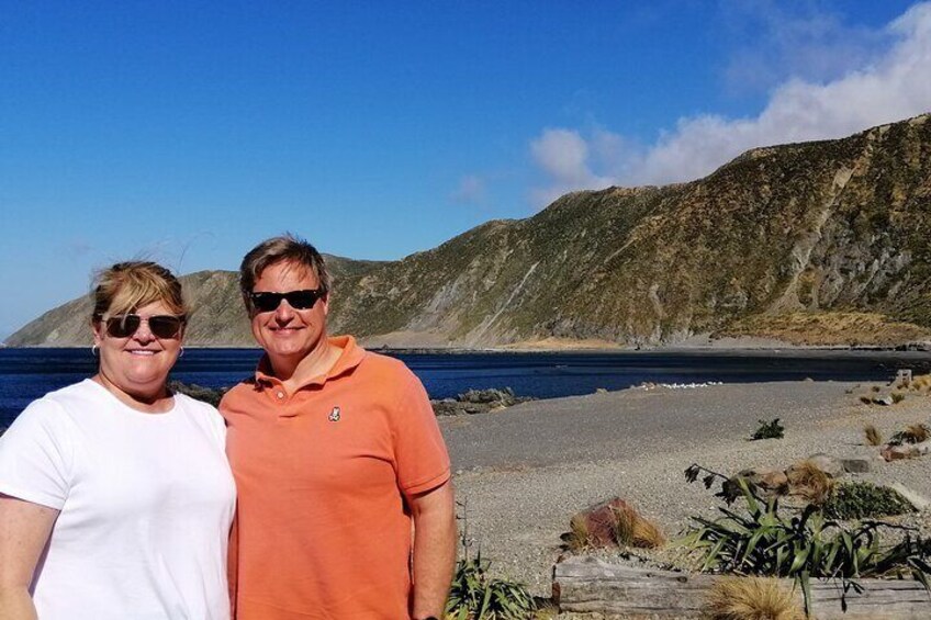 The south coast is rugged with views of the South Island (weather dependent)