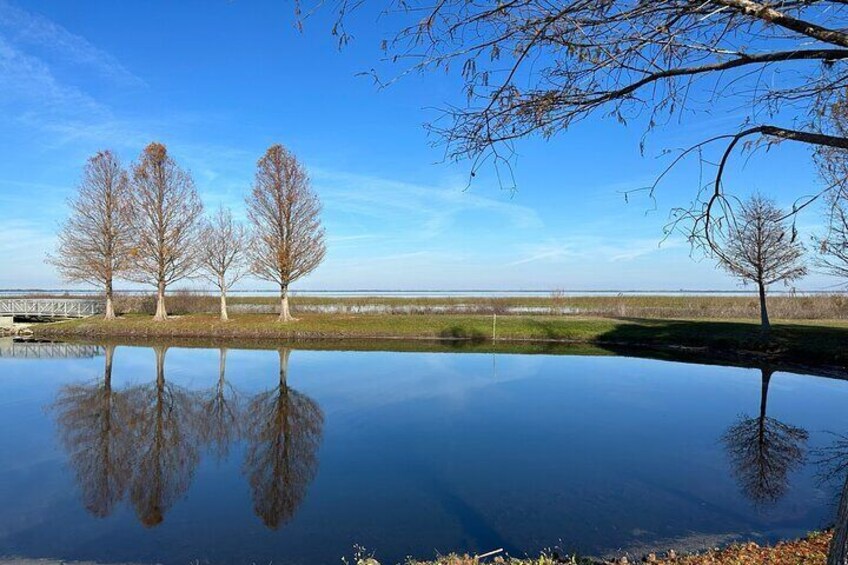 So calm. One of the ponds next to the lake at St. Cloud Lakefront Park.