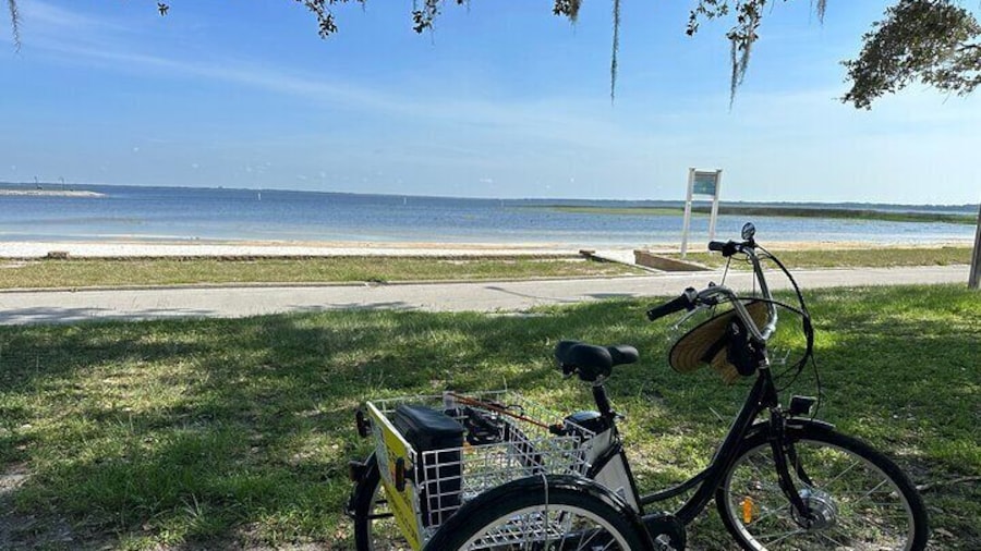 Perfect spot to park in the shade next to the sandy beach in St. Cloud. Care for a swim?