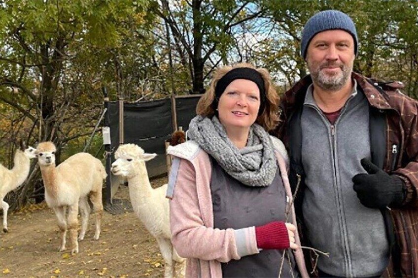 Alpaca and llama hike Moedling near Vienna