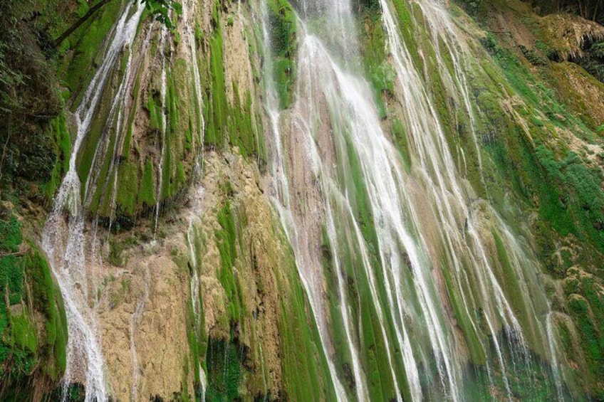 Whale Watching, Cayo Levantado and Limón Waterfall in Samaná