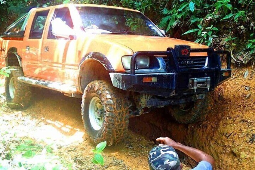 Thrilling Off-Road Expedition: Conquer Rainforest in Rugged Truck