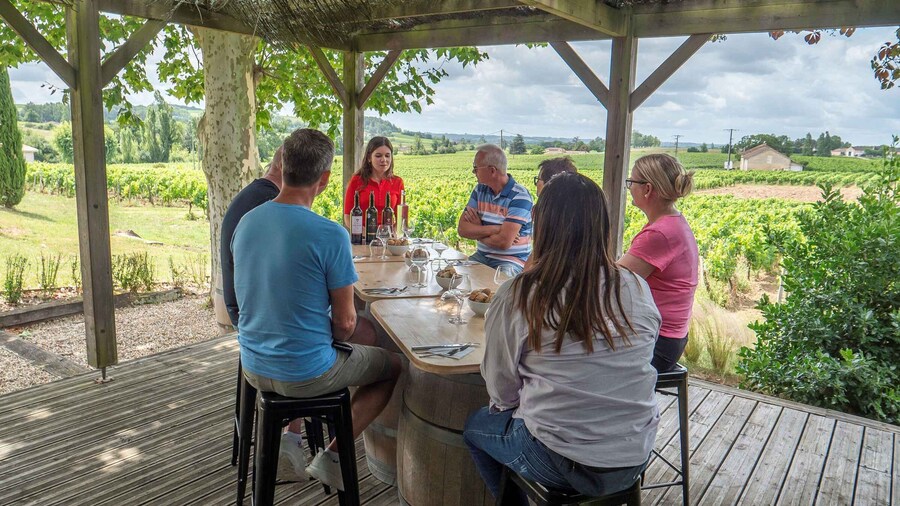 From Bordeaux: Saint-Émilion Wine Tour, visit village, lunch