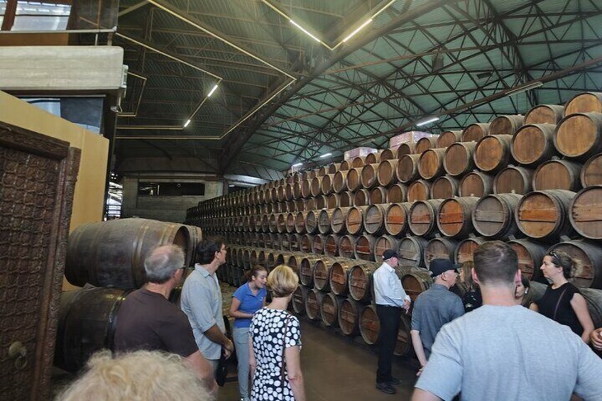 Adega Quinta da Bacalhôa - Moscatel Wine Stage