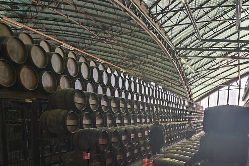 Adega Quinta da Bacalhoa - Muscatel Wine Barrels