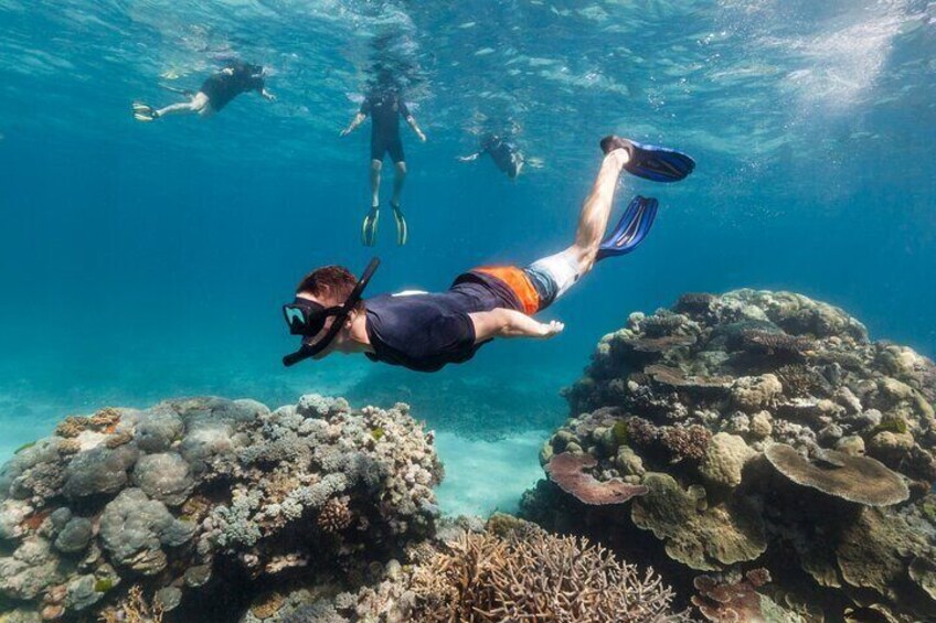 1 Day Snorkeling Program in Kaoh Rong with PADI Instructor