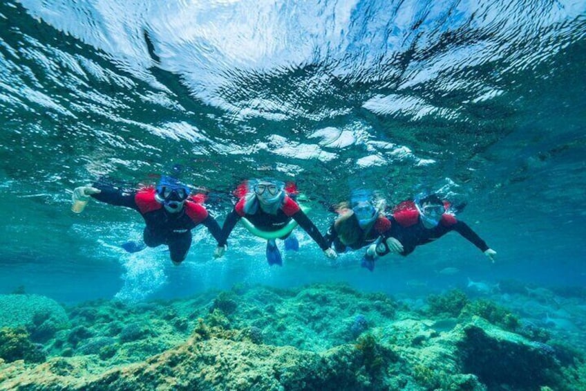  Guided Snorkeling Busselton Jetty and Underwater Sculptures