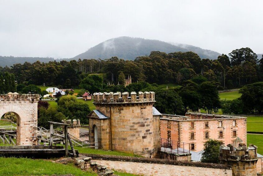 Full Day Private Shore Tour in Hobart from Hobart Cruise Port