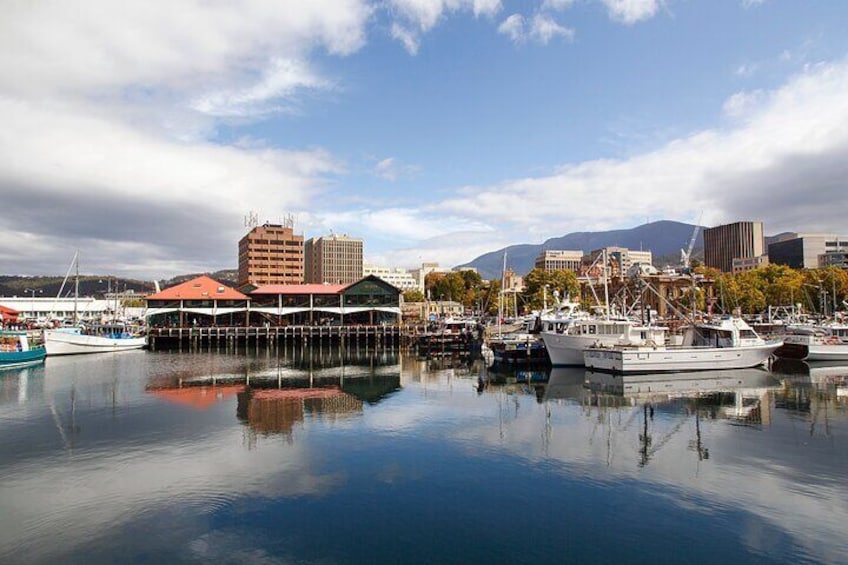 Full Day Private Shore Tour in Hobart from Hobart Cruise Port