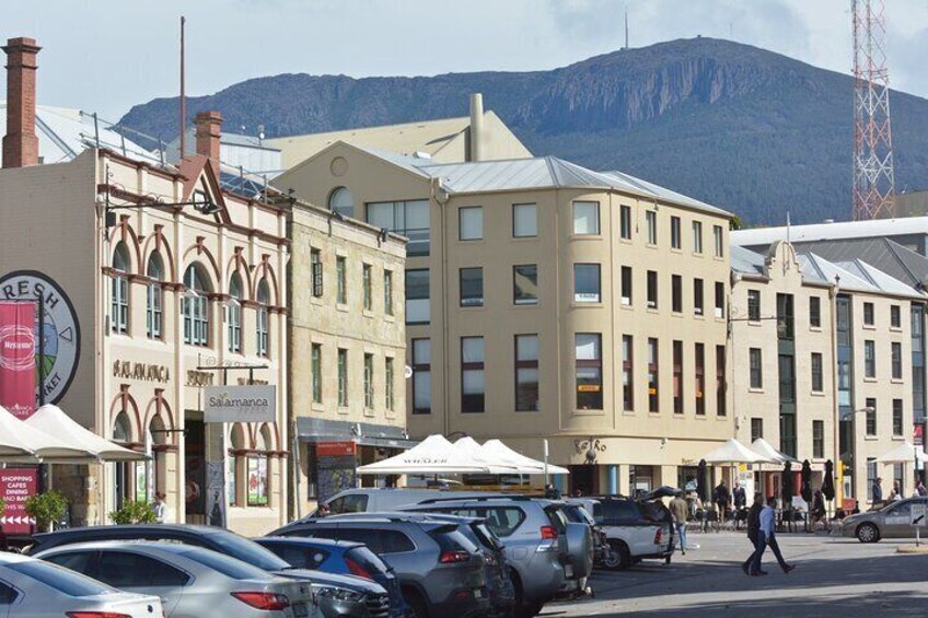 Full Day Private Shore Tour in Hobart from Hobart Cruise Port