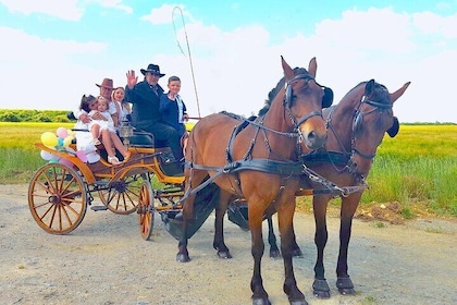 Private Carriage Ride in Saint-Pierre-Azif
