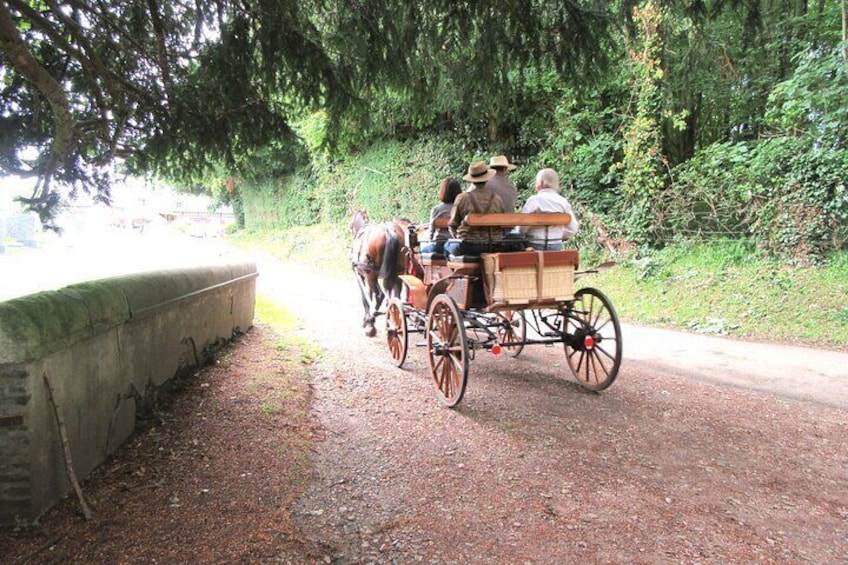 A bucolic spirit for our horse-drawn carriage ride