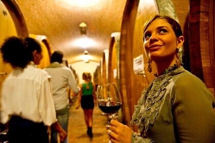Lake Garda and Valpolicella, private wine experience