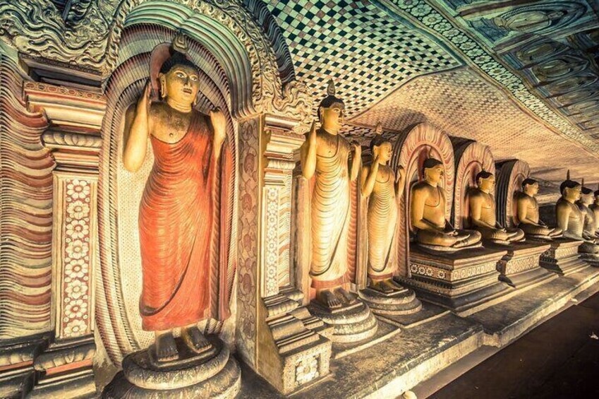 Excursion to Ancient Historical Mirages (SIGIRYA & DAMBULLA)