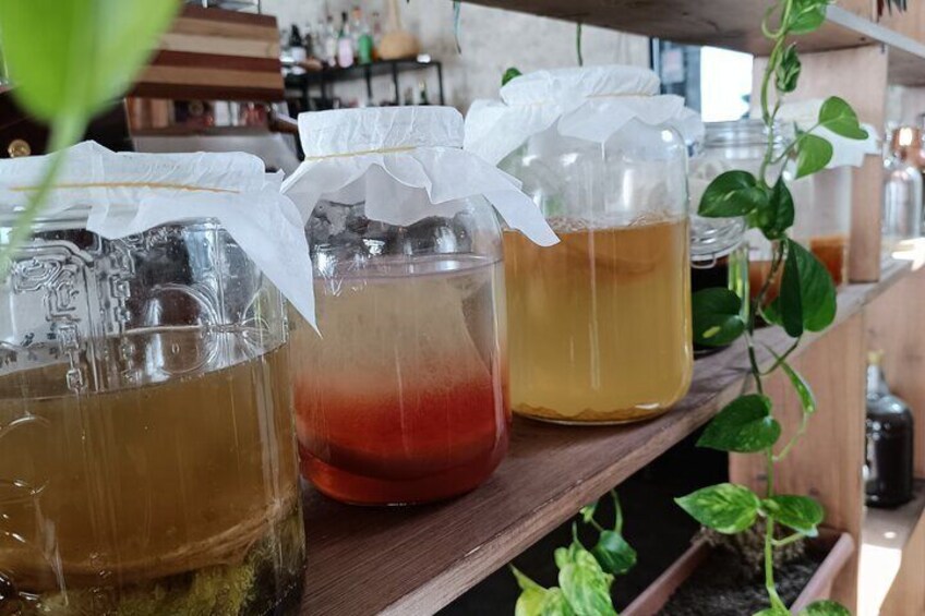 Private Kombucha Making Workshop in Cyprus