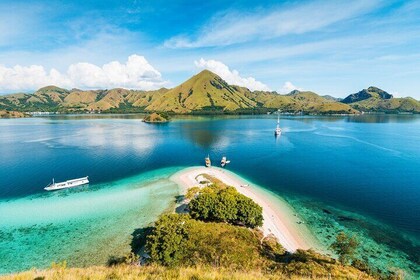 Full Day Private Shore Tour in Komodo from Labuan Bajo Port