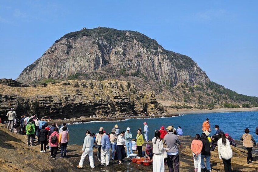 Exploring Yongmeori Coast