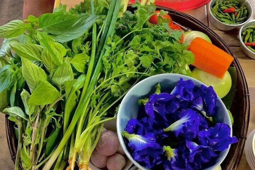 Evening Cooking Class in Organic Garden Chiang Mai