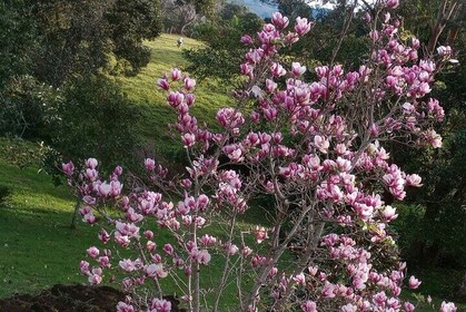 Cooking Classes on Witta Maleny Sunshine Coast