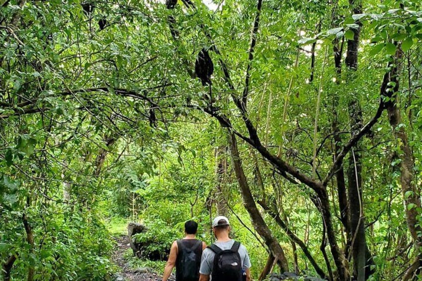 Ometepe trekking - Volcano Concepcion By Happy Tours