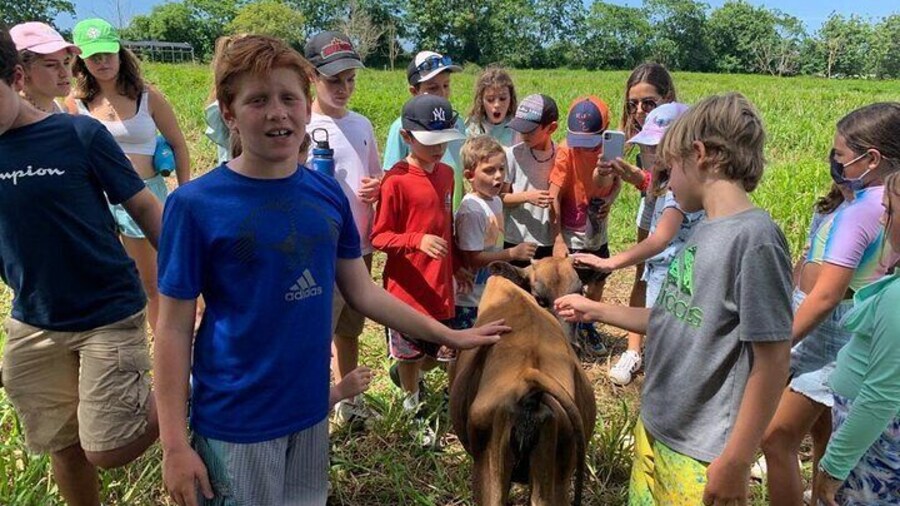Eco Friendly Farming Tour to Explore Dorado's Most Beautiful Farm